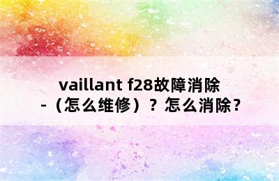 vaillant f28故障消除-（怎么维修）？怎么消除？